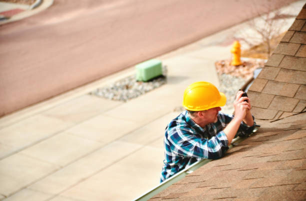 Roof Gutter Cleaning in Dadeville, AL