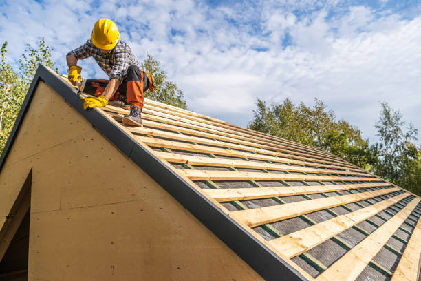 Professional Roofing Contractor in Dadeville, AL